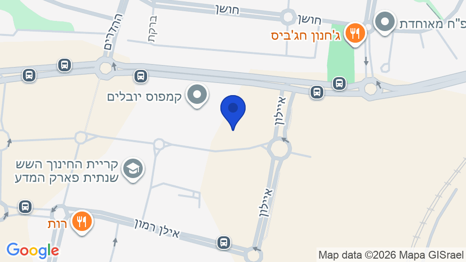 רח' פרופסור אברהם פיצ'ורניק, נס ציונה